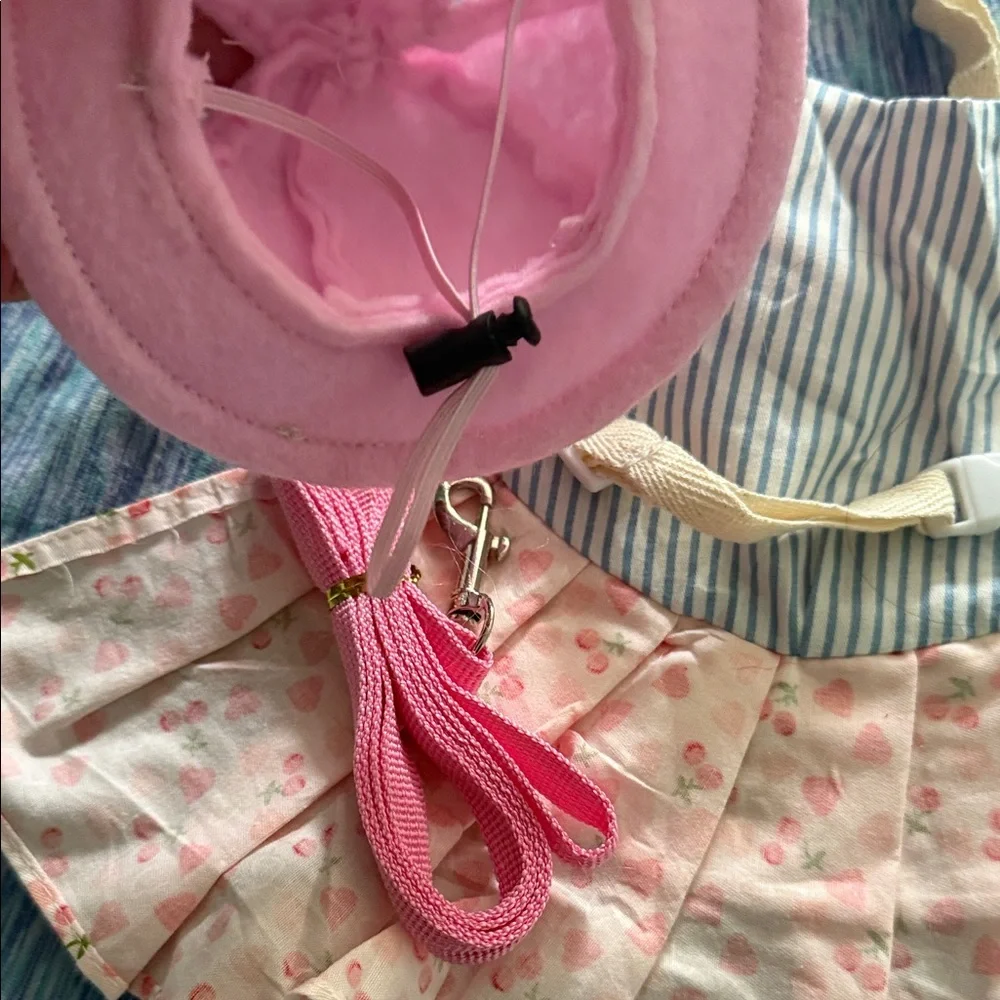 Pink Cat Hat